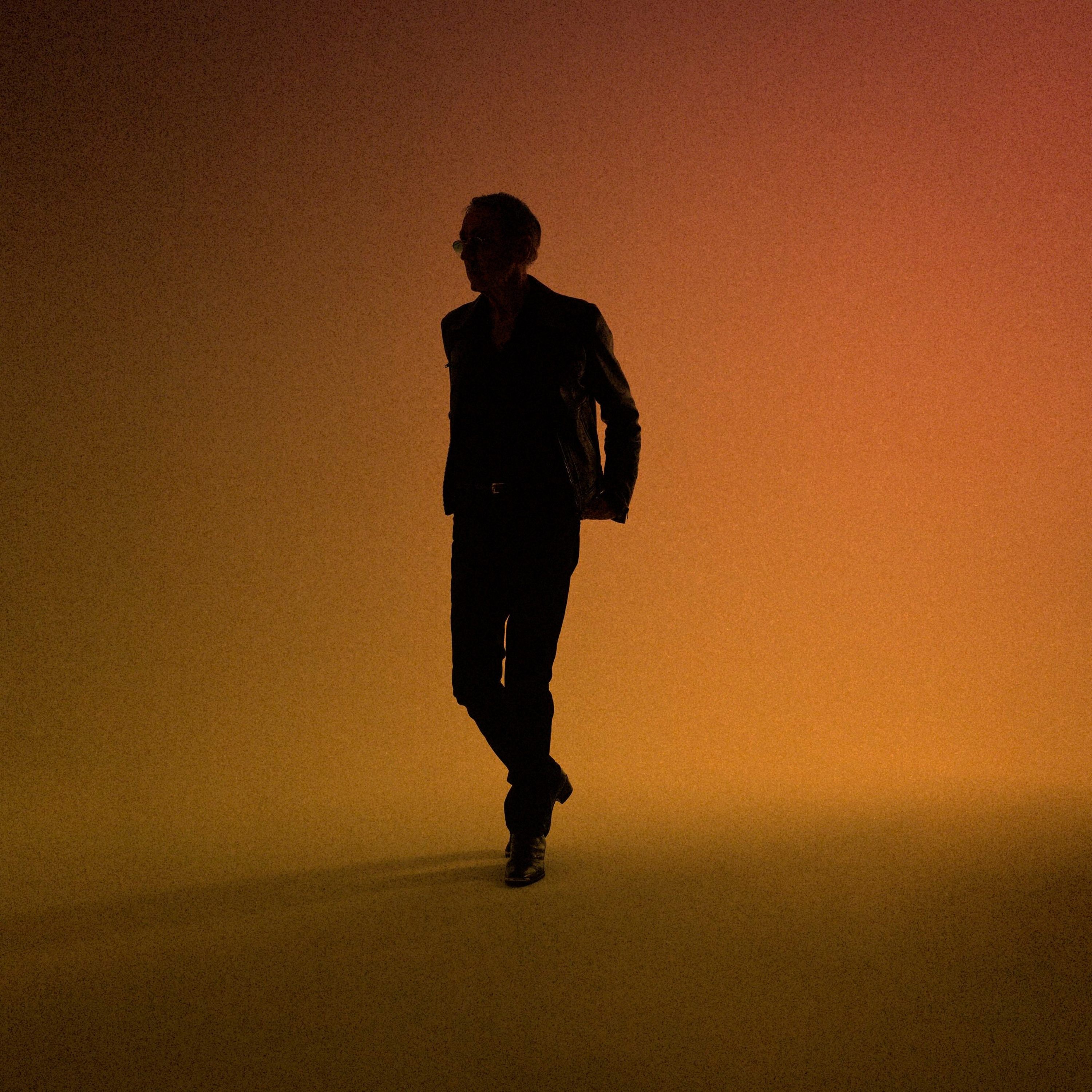 ALAIN CHAMFORT  - L'impermanence tour